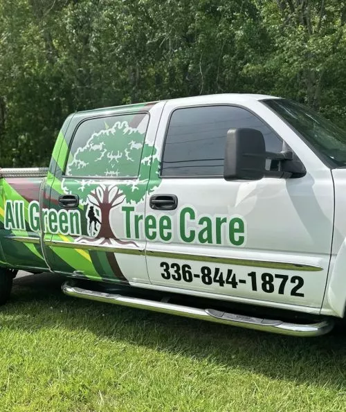 I hired All green tree care for tree trimming and removal, and they did an amazing job