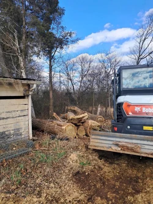 They did an awesome job with what I wanted and needed done. We had multiple trees taken down, land graded, and river stone