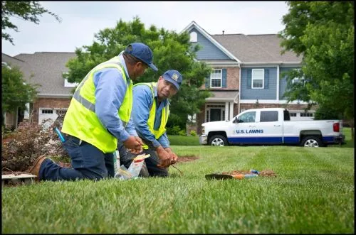 US Lawns has been servicing our entire neighborhood, with 348 homes, for well over 10 years