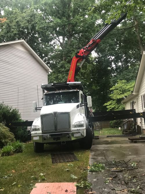  alt='Bill’s Tree Service does an excellent job on tree removals and trimming'
