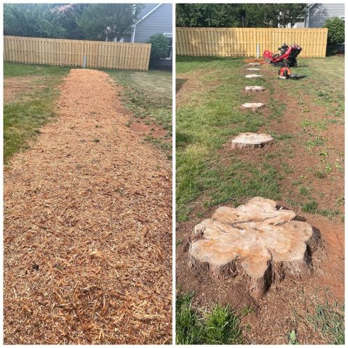  alt='We recently hired Deadwood Tree & Land Management for tree trimming, tree removal, and stump grinding services and I could'