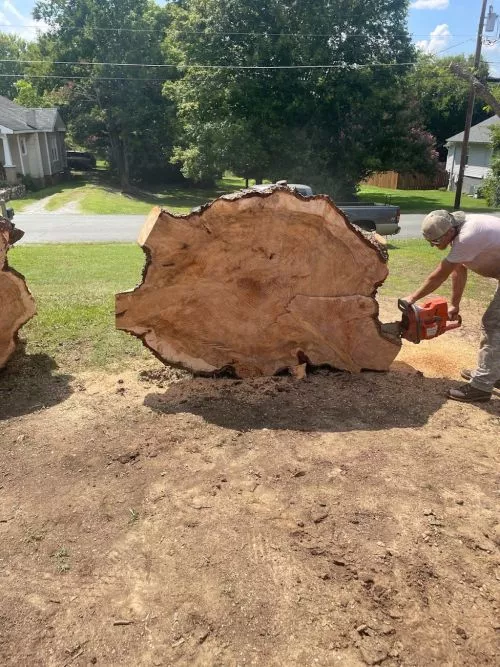 We recently hired Deadwood Tree & Land Management for tree trimming, tree removal, and stump grinding services and I could