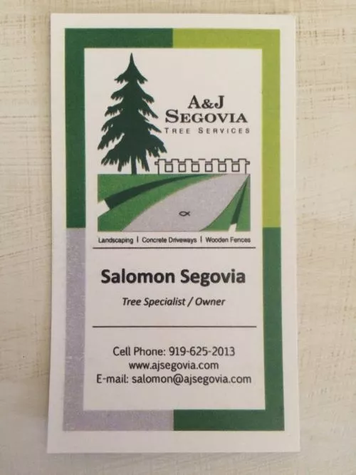 We have used Segovia Tree Services on three occasions. Two of them emergency and one planned