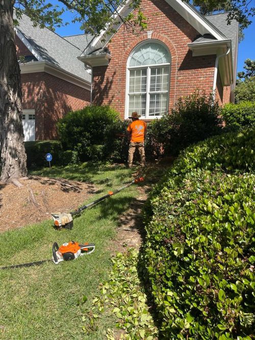  alt='Highly recommended! Our experience with EA Tree Service was excellent from start to finish'