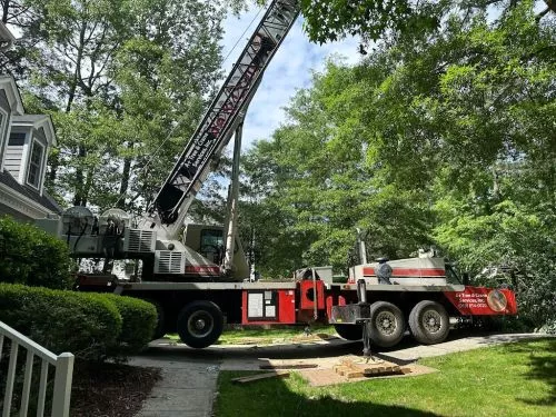 A+ Tree & Crane Services Inc. did an amazing job removing two trees in the front of our yard with professionalism, quality,