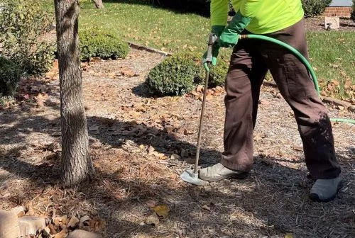 When contacted Carolina Tree, I was concerned about the health of my trees and worried some would need to cut down