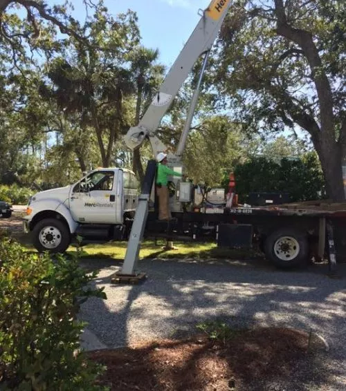 There seems to be no shortage of tree service companies and they all seem to be knocking on my door throughout the year