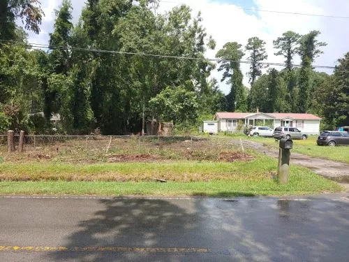 My Dad recently had a number of pine trees removed from his property by Tripp"s Tree Service