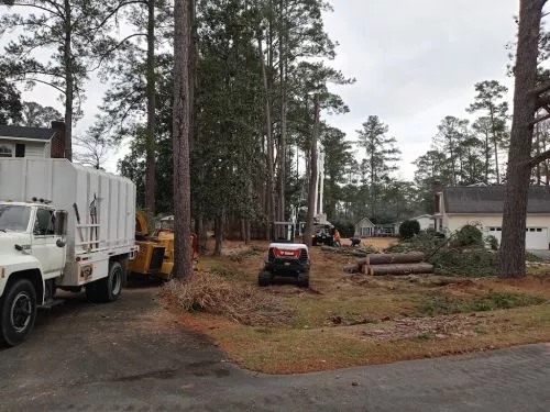 This crew made light work of heavy project( at for myself). They removed dense overgrown areas in my yard without a sweat