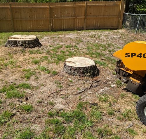  alt='We had 13 stumps to be ground and were so happy we contacted Stump Grinding of Coastal Carolina LLC'