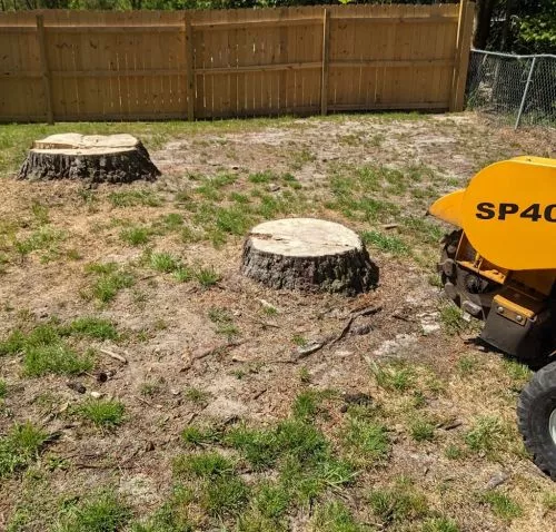 Mike came to our home to grind a stump that was precariously placed near a brick patio