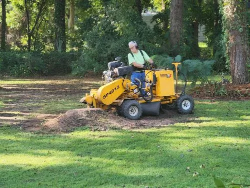 We had 13 stumps to be ground and were so happy we contacted Stump Grinding of Coastal Carolina LLC