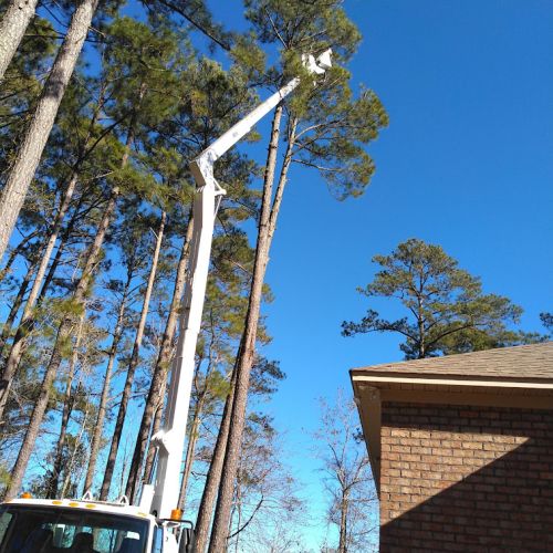  alt='We had 4 trees cut down that needed a crane for removal! They started job sooner than expected and while the crane had an'