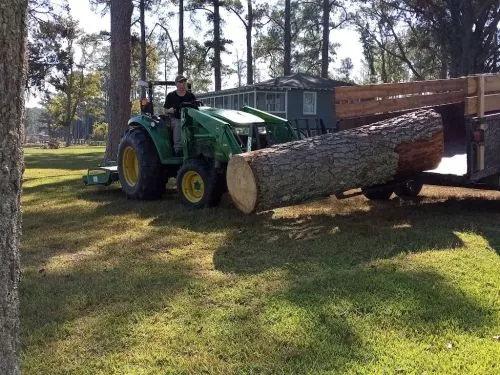 Disappointed in the quality of service. I had a large pine tree removed in my back yard