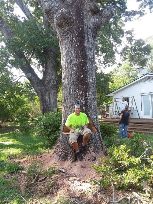  alt='Rex from Coastal Carolina Tree Service and his crew did an outstanding job removing 4 huge trees out of my yard and'