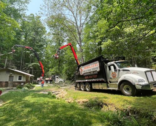  alt='Limbwalkers, as usual, did an excellent job removing several trees from my property'