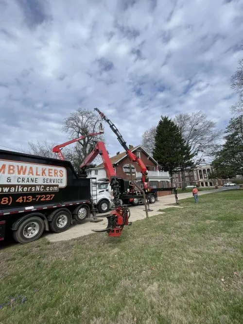 This bunch is by far the best at what they do!… I’ve hired “tree doctors” before… but Caleb and his crew work together,