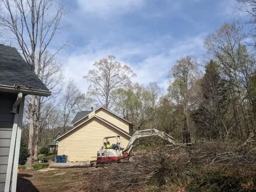 James and his guys did a great job cutting 4 trees down for me! Two of them were right next to my house and one was covered