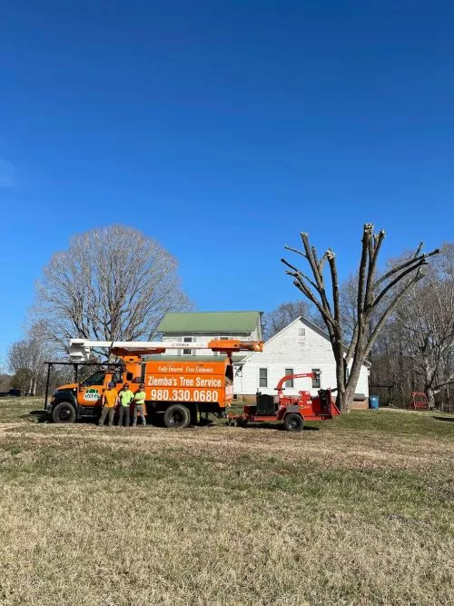 If I could give them TEN stars, I would!! Ziemba"s was taking down a storm-damaged tree in my next-door neighbor"s yard