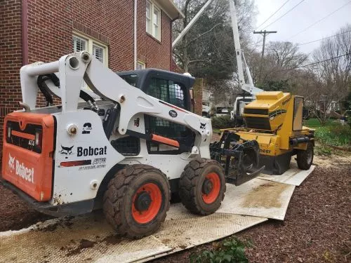 They were so efficient! My back yard was a jungle and they cut away all the trees and shrubs in the space of an afternoon