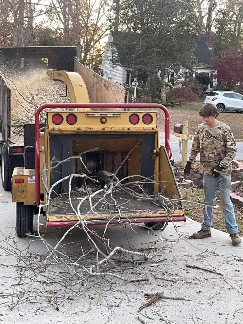 I used this group for the first time and was completely pleased with both the safety of taking six trees down in close