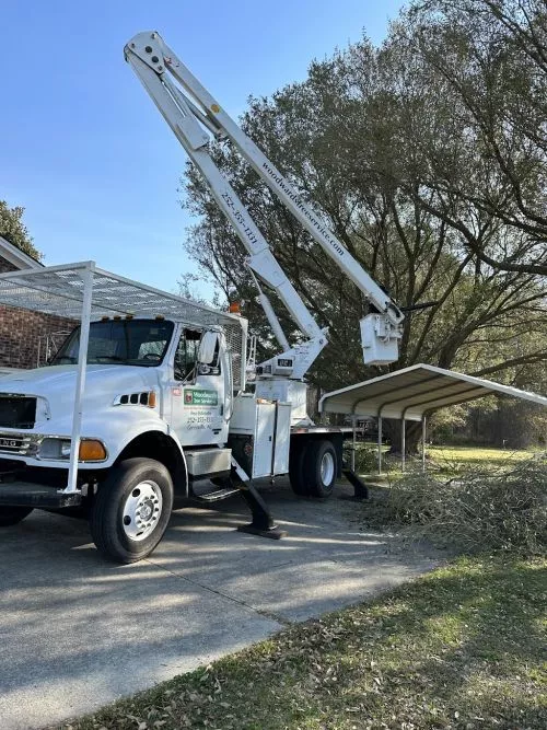 Woodwards Tree service went above and beyond and Mr. Woodward was extremely knowledgeable about what trees that needed to