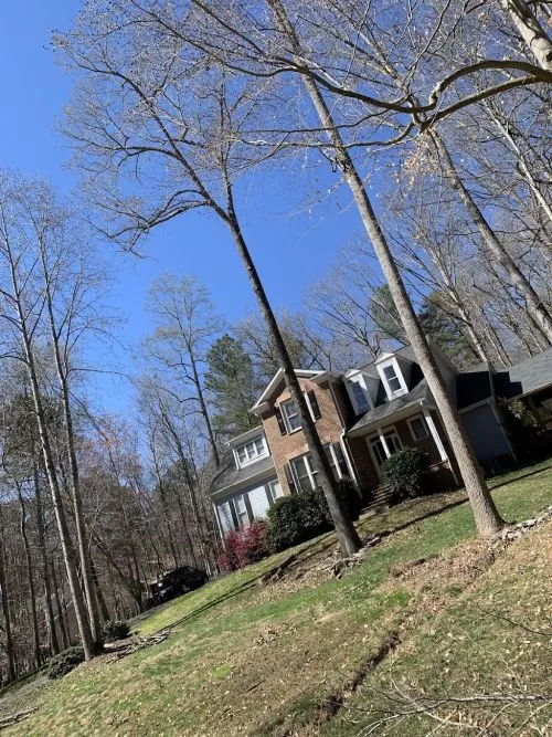 Oliver came and trimmed tall trees exactly as I asked, and cleaned my gutters