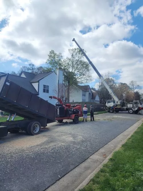 The folks at Clark’s Tree Express were great. They made the entire process of removing the fallen tree from our garage much