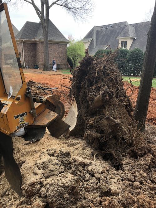  alt='I have a tree service and Carroll grinds all of my stumps. He does a great job, goes above and beyond and exceeds my'