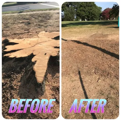 Randy- the charlotte owner/operator was working next door to my house today and left all of the stump grindings on my