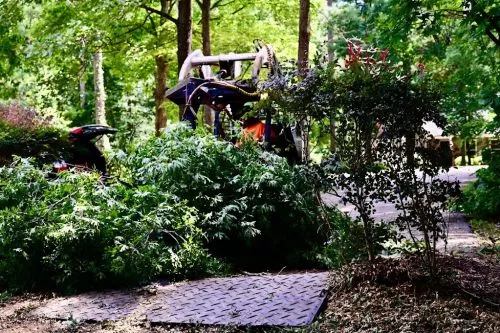 We have used Fonville Tree Service several times to cut down big trees on our property