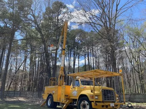 Brice and the Fonville crew were 100 percent spot on. They provided me an excellent quote to remove a couple huge trees (75