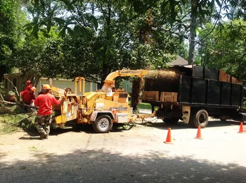 Gonzalez Tree Pros and Crane Inc did an outstanding job removing two large trees from my property