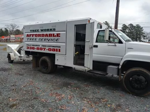 I contracted with this company to cut down, remove, and grind stumps for two trees