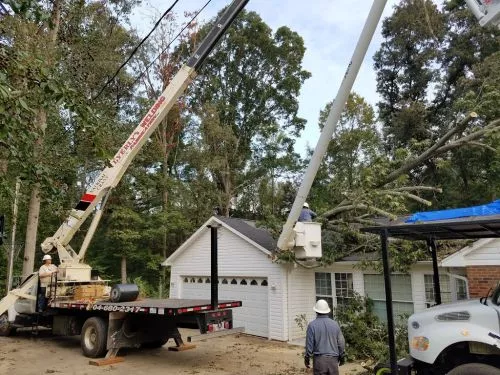 Wow! These guys are great! My husband was really concerned about the heavy equipment in the yard but they did an excellent