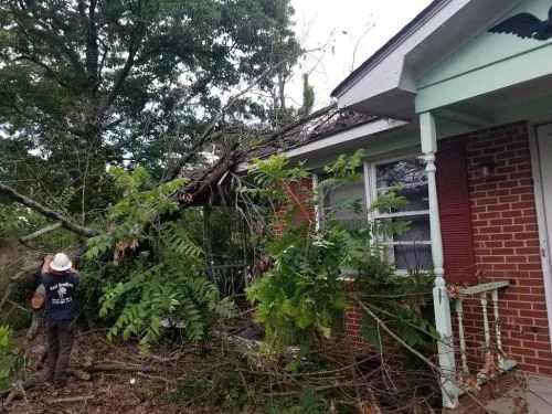 So pleased with the job they did trimming two large trees in our yard! Quick to respond and schedule