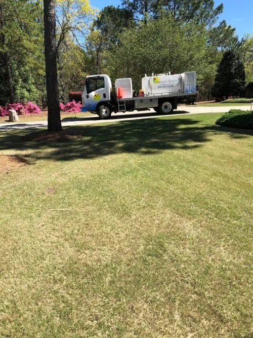 Like other satisfied customers, I tried several other businesses and watched my lawn move in a backward direction
