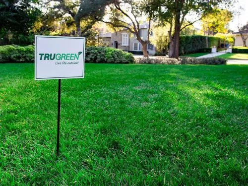 I"ve been a customer with TruGreen for over 10 years. I had a treatment done to my yard 2-3 weeks back and called for a