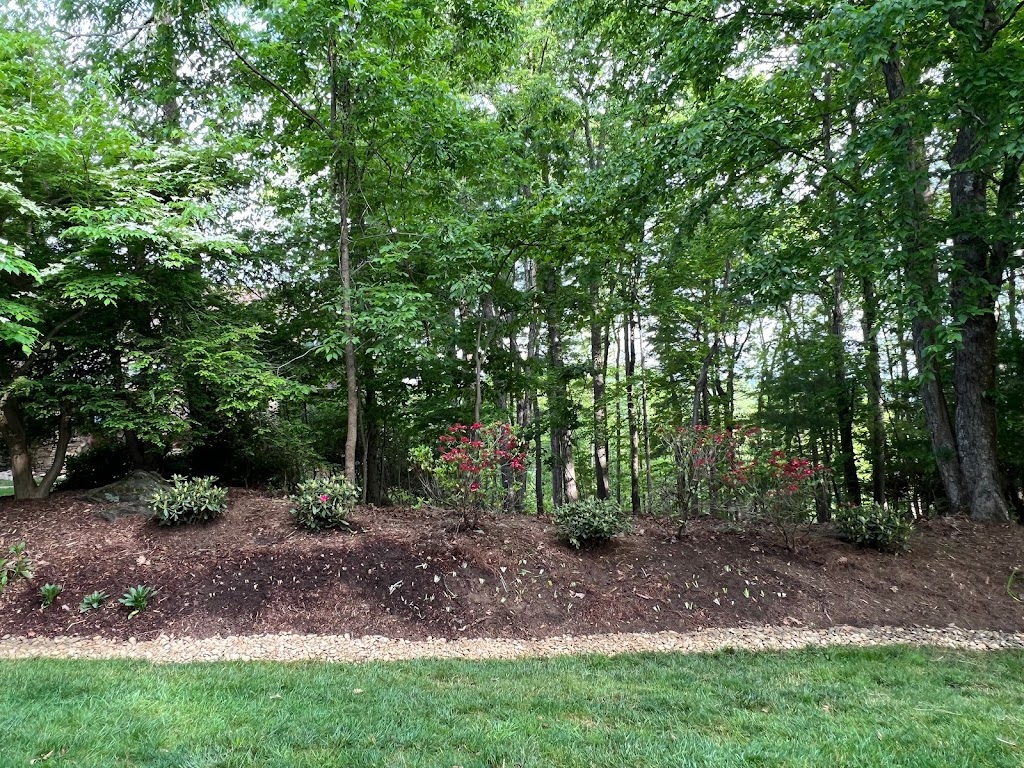 Our yard was covered in kudzu vines and James and his team at Thompson did an excellent job at treating, clearing and