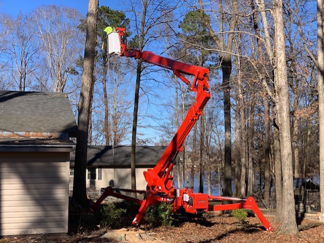 overall a great company had two trees taken down one big oak next to house and a sticker ball tree against a fence