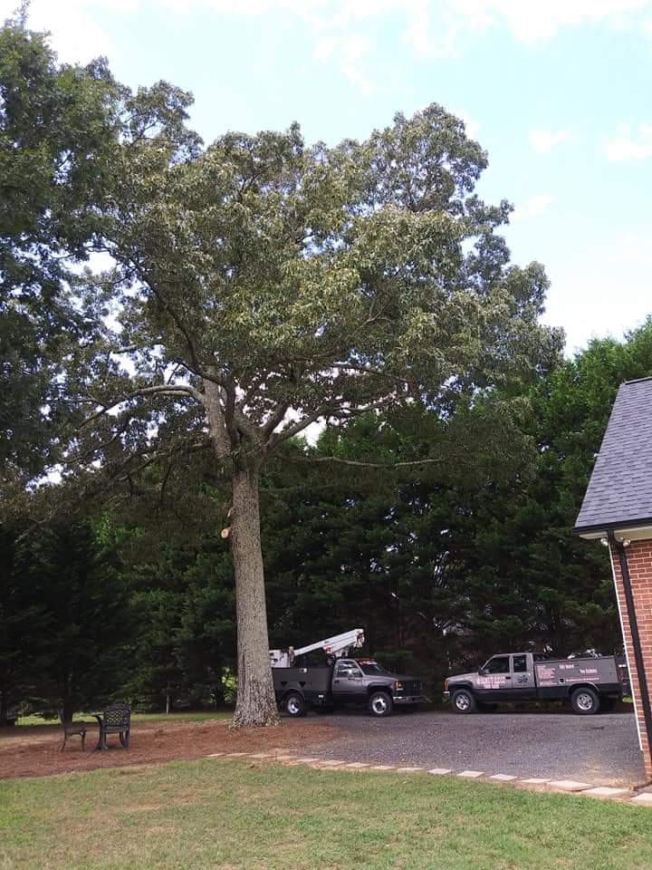 I had a tree fall on a utility building and was having difficulty finding someone who could remove it before more upcoming