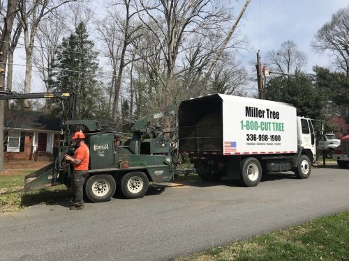  alt='Miller Tree Service sent a four man team to trim a tree and all the excellent equipment to do the job perfectly'