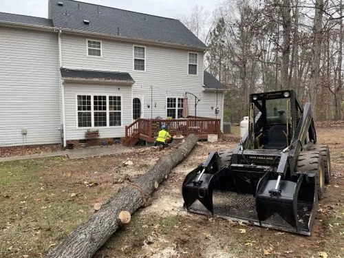 Herman"s Tree Service did a remarkable job for us! They came to our home and looked over what we wanted done