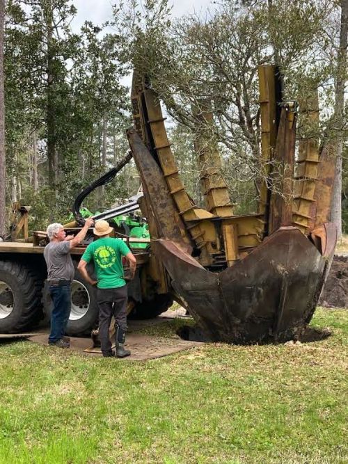  alt='Bill did a great job, quickly, moving (2) thirty year old Southern Red Oaks for me. Highly Recommended!'