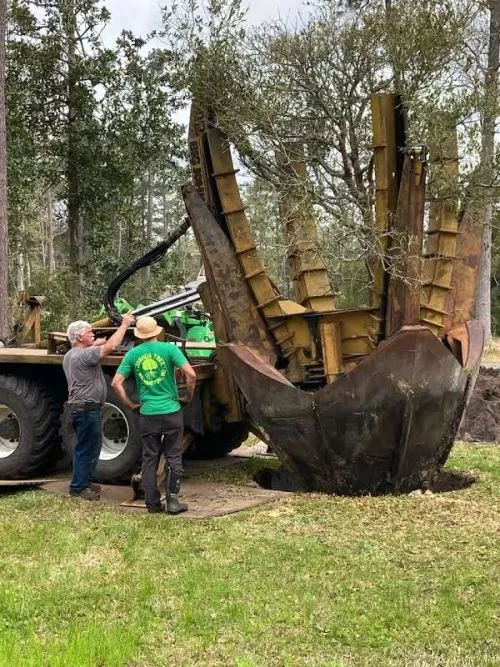 We love moving trees with Bill!