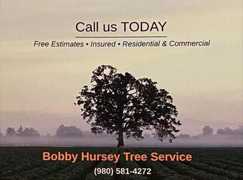 Bobby is very professional. After taking our call he took care of us in a very timely manner