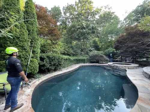 These guys earned a 5 star rating. They cut down a large oak tree and trimmed up three others