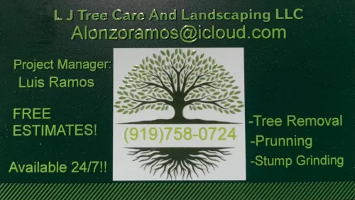 Luis & his crew are amazing! They are very friendly, professional, and efficient. He does what he say will do