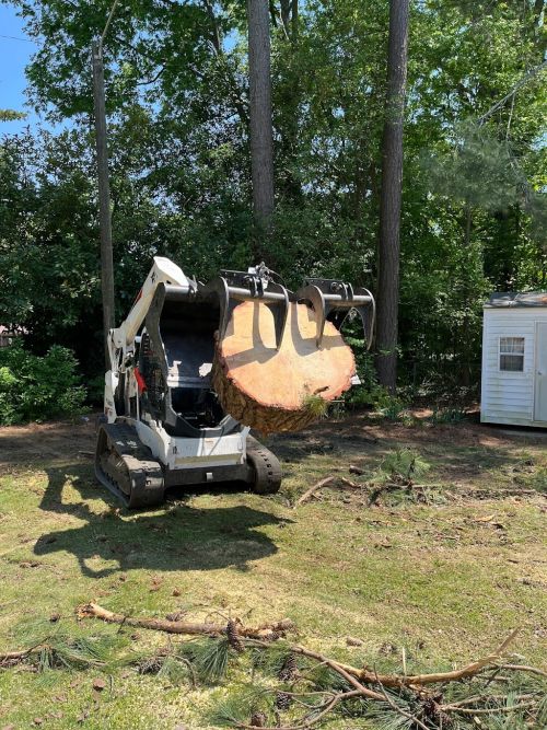  alt='He did a excellent job on my big Tree 🌳 in the middle of my front yard. I will recommend him to all of my friends. '