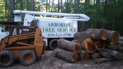 Top rate service! Second call and would definitely call Arborite again. Friendly and professional. Highly recommend